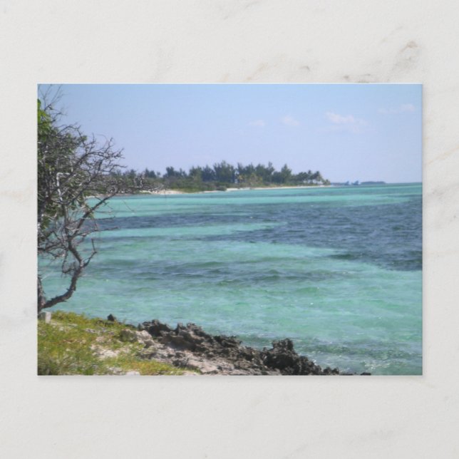 Postal tropical (Anverso)