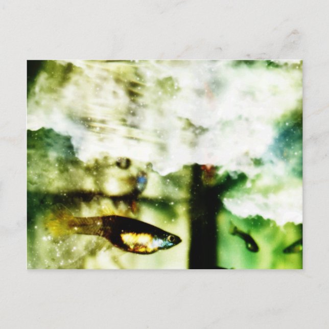 Postal Tropical (Anverso)