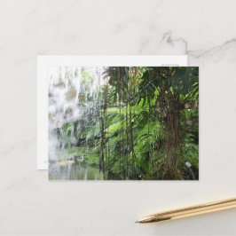 Postal Tropical dream