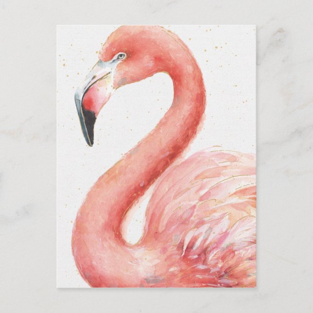 Postal Tropical | Flamingo rosa (Anverso)