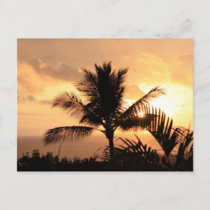 Postal tropical Golden Sunset