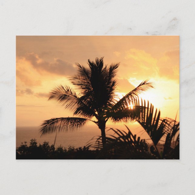 Postal tropical Golden Sunset (Anverso)