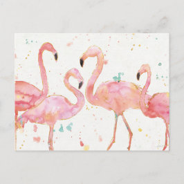Postal Tropical | Reunión de flamencos