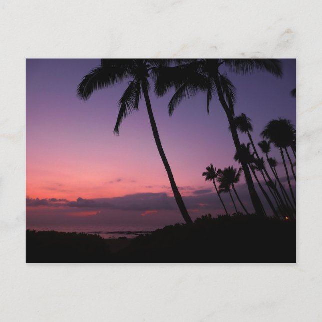 Postal tropical rosa y morado (Anverso)