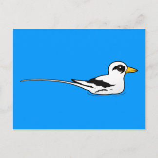 Postal Tropicbird de cola blanca y pájaros en reposo