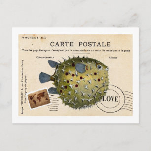 Postal Tropival Vintage Fish Love