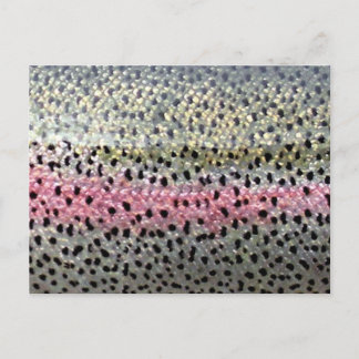 Postal Trucha arco iris de PatternWear©
