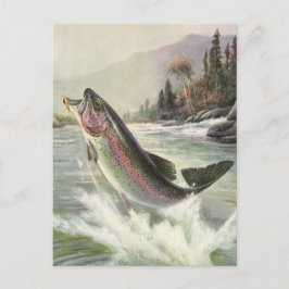 Postal Trucha Arcoíris, Pescador Antiguo Pescando Peces