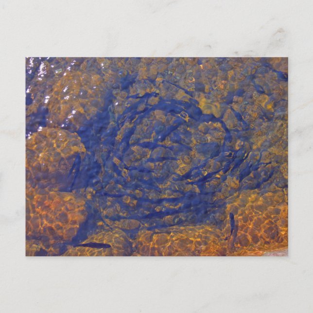 Postal Trucha en una bola corta en un estanque, Charlevoi (Anverso)