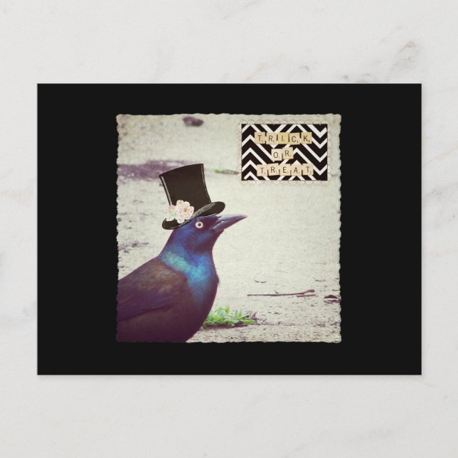 Postal Truco o trato de Grackle (Anverso)