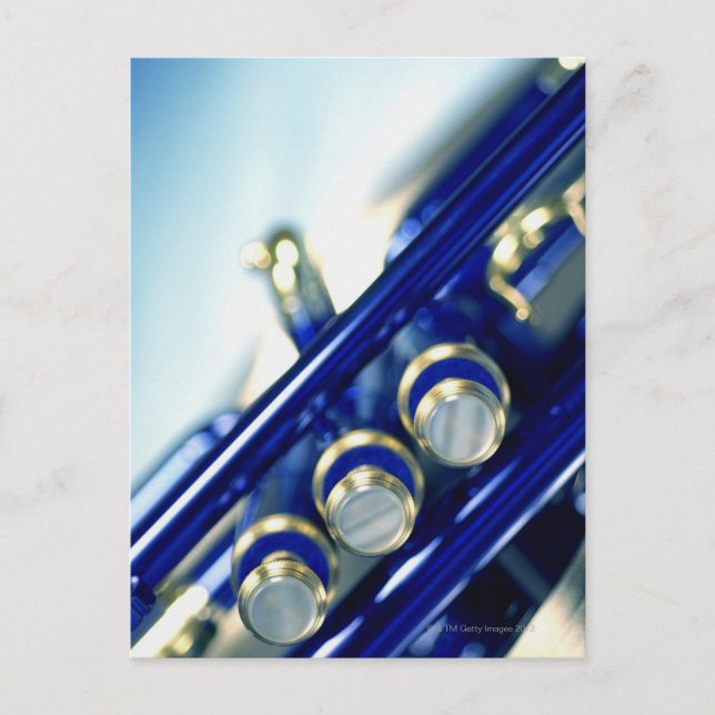 Postal Trump (Anverso)