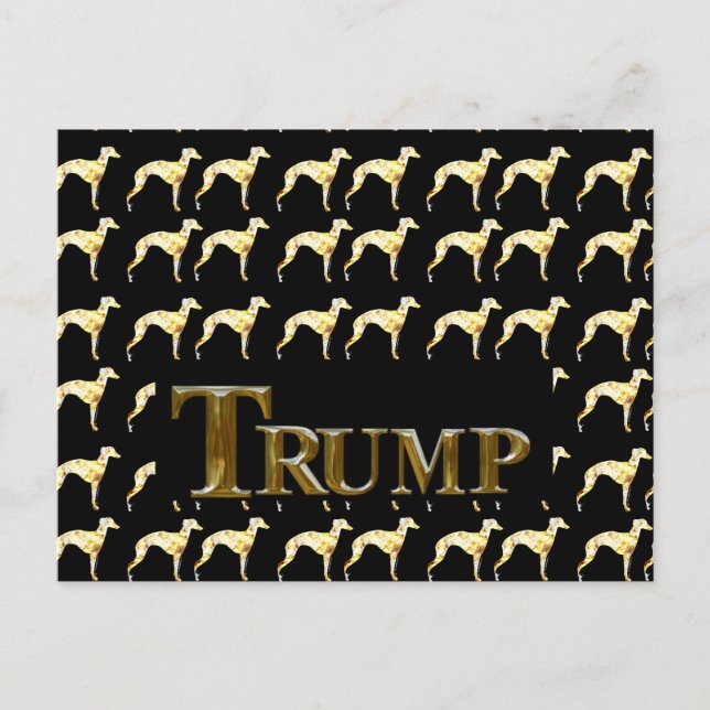 POSTAL TRUMP 2024 (Anverso)