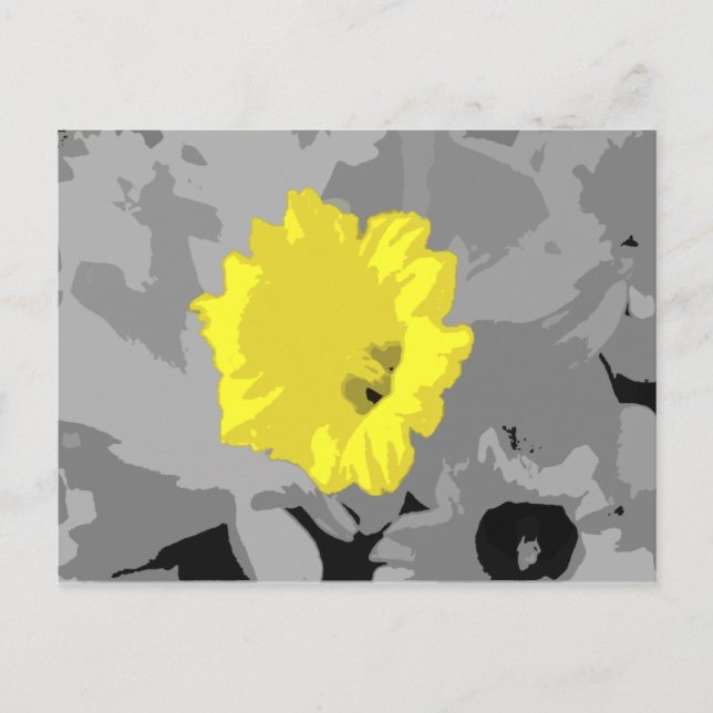 Postal Trumpeter de la primavera (Anverso)