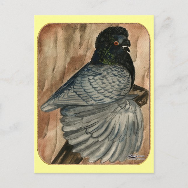 Postal Trumpeter Pigeon inglesa: 1980 andaluza (Anverso)