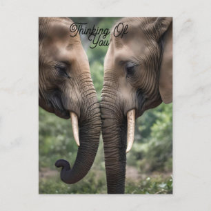 Postal "Trunk to Trunk: A Gentelphant Embrace"