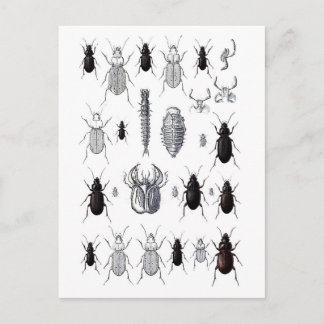 Postal Truppe von alien