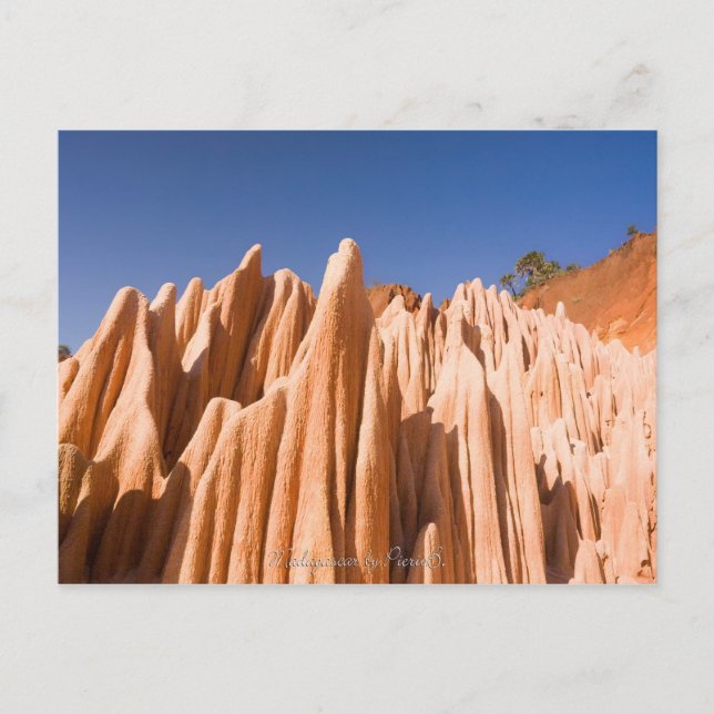 Postal Tsingy rouges de Madagascar (Anverso)