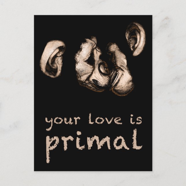 Postal tu amor es primordial : besando chimpancés (Anverso)