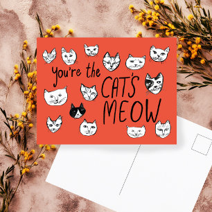 Postal TÚ ERES LA MEOW Cute Kittens Postcard