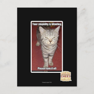 Postal Tu estupidez es cegadora 2