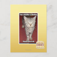 Tu estupidez es cegadora 2