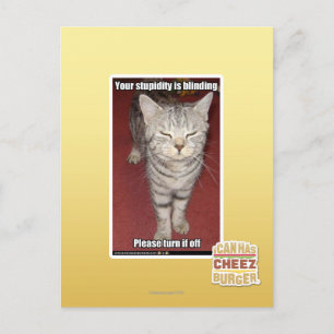 Postal Tu estupidez es cegadora 2