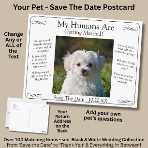 Postal Tu Foto de Mascota Save The Date Negro Blanco Infi