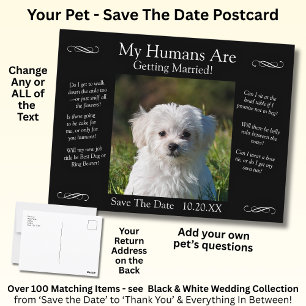 Postal Tu Foto de Mascota Save The Date Negro Blanco Infi
