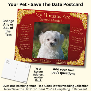 Postal Tu Foto de Mascota Save The Date Rosas Doradas Roj