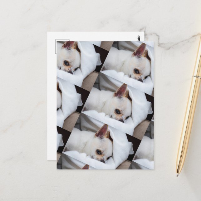 Postal Tu mascota perro cachorro personalizado foto patró (Anverso/Reverso In Situ)