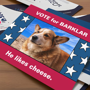 Postal Tu Perro En La Divertida Campaña Electoral Estadou