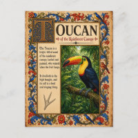 Tucán, Arte de Bestiario Medieval