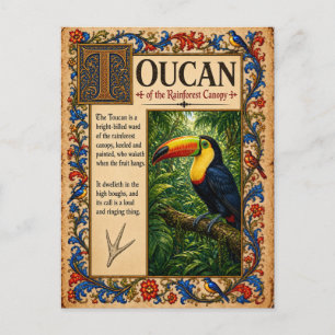 Postal Tucán, Arte de Bestiario Medieval