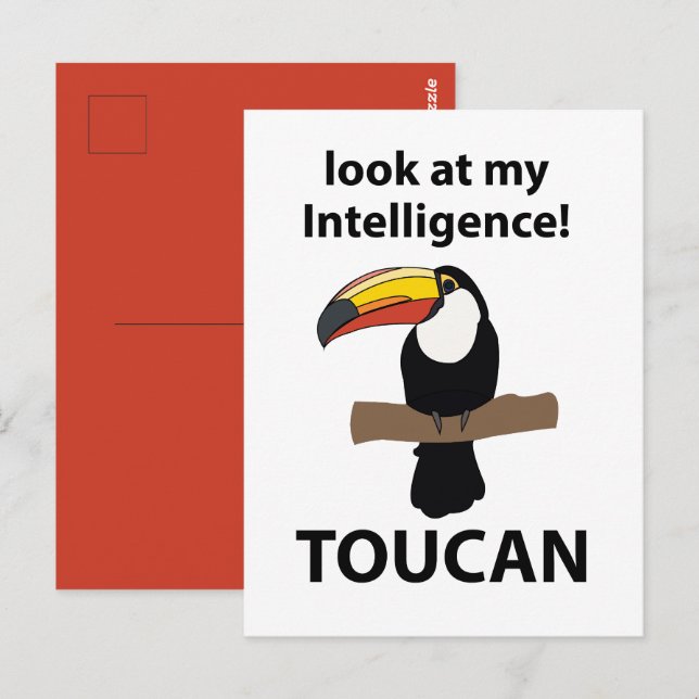 Postal Tucán Pájaro Tropical Divertido (Anverso / Reverso)