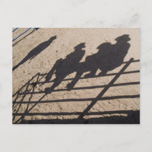 Postal Tucson, Arizona: Sombras de competidores de Rodeo