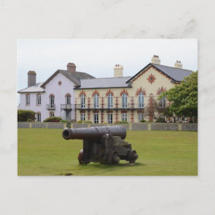 Postal Tudor Rosa Cannon