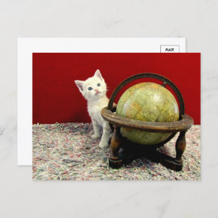 Postal Tuffy McDuff en todo el mundo - Gato / Gatito