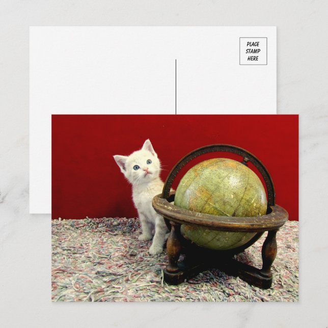 Postal Tuffy McDuff en todo el mundo - Gato / Gatito (Anverso / Reverso)