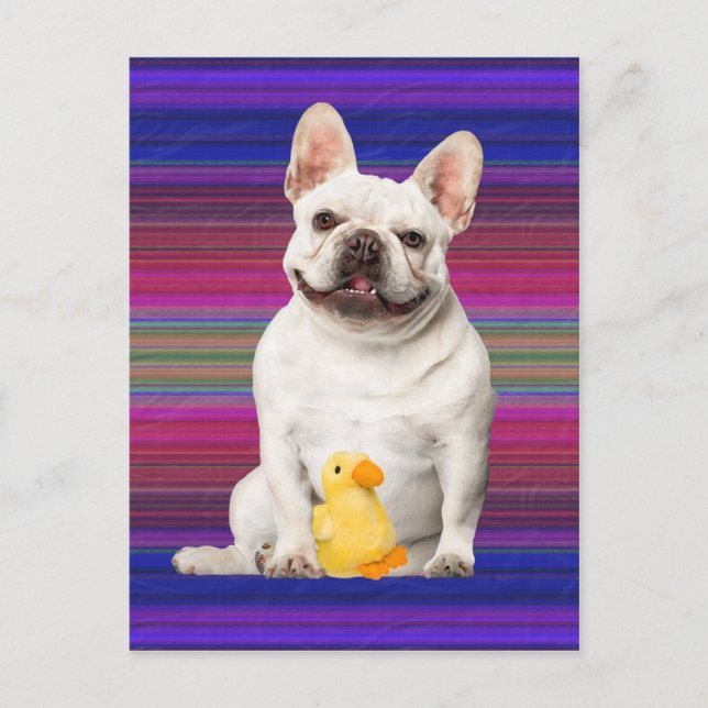 Postal "Tuffy McTuggs" (Anverso)