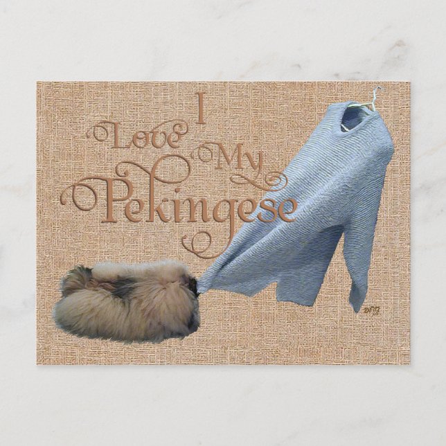 Postal Tug-O-War de Pekinés (Anverso)