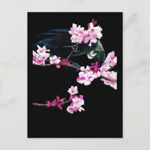 Postal Tui alimentándose con flores de cerezo
