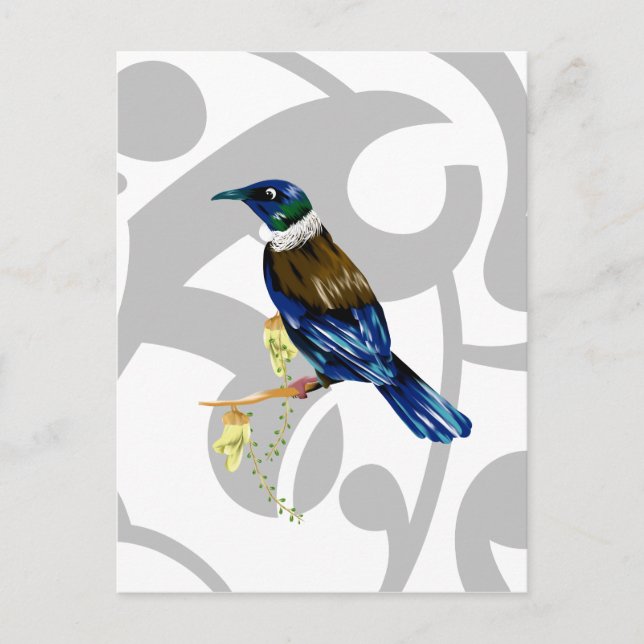 Postal Tui NZ Bird (Anverso)
