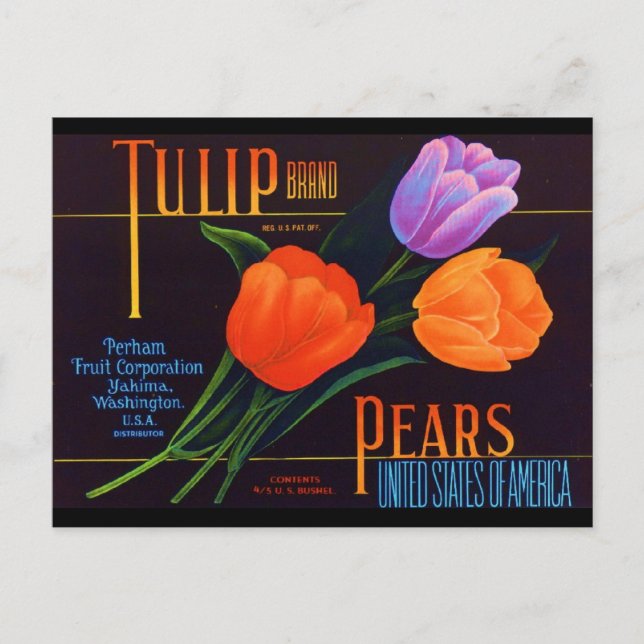 Postal Tulip (Anverso)