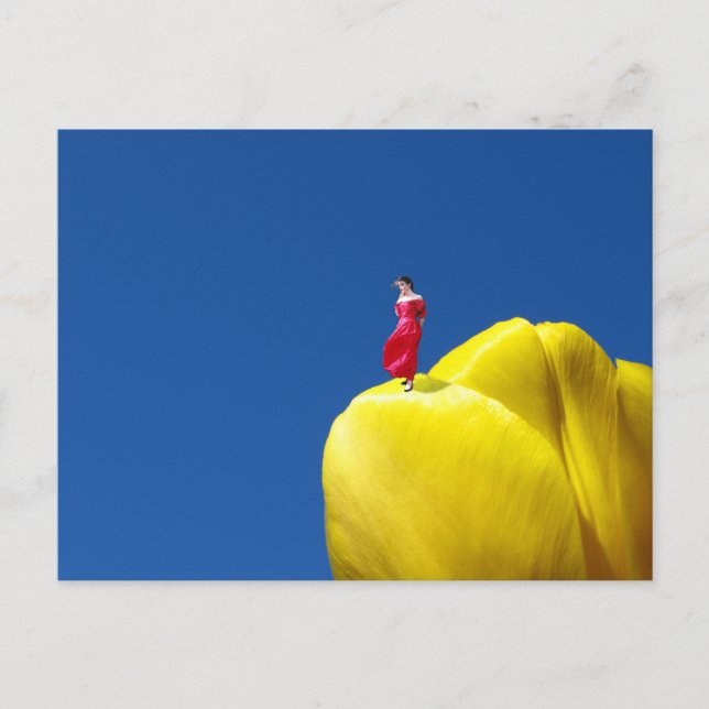 Postal Tulip (Anverso)