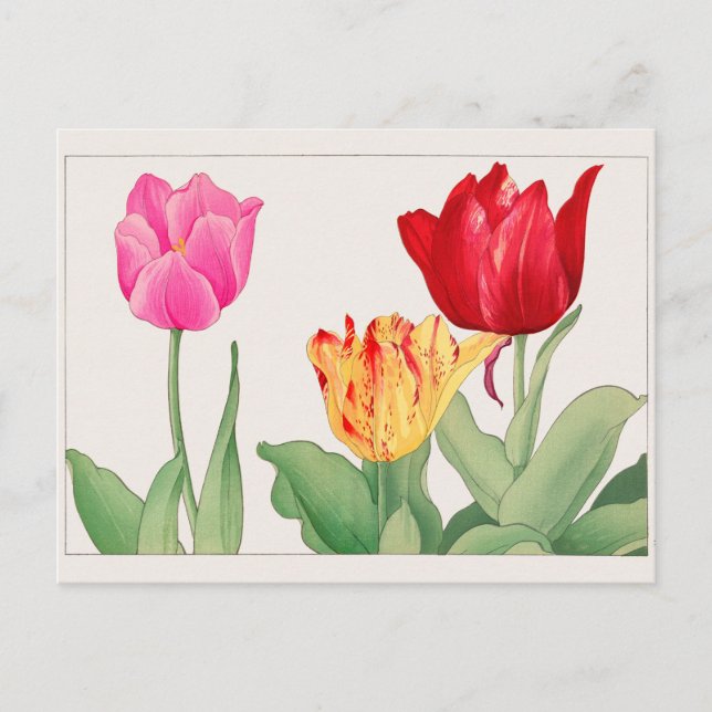 Postal Tulip de Tanigami Konan (Anverso)