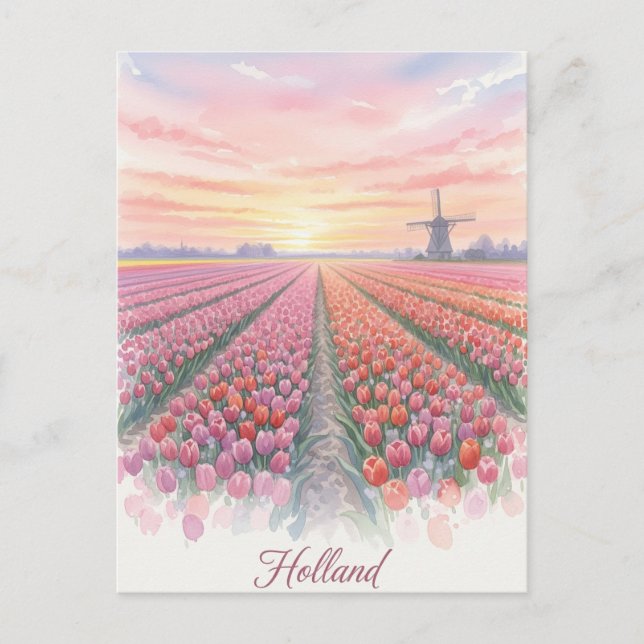Postal Tulip Fields Windmill Holanda (Anverso)