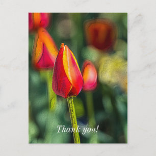 Postal Tulip Garden texturizado Gracias Postcard