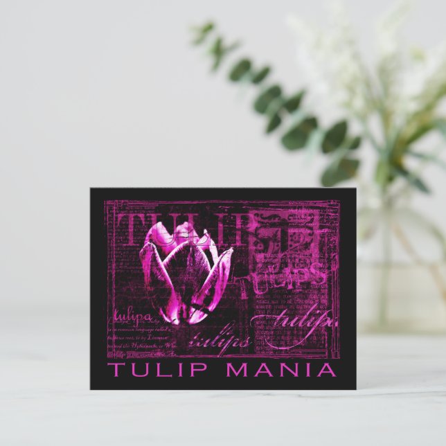 Postal Tulip Mania (Anverso de pie)