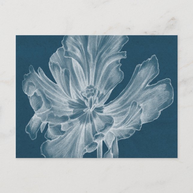 Postal Tulipán II Monocromo (Anverso)