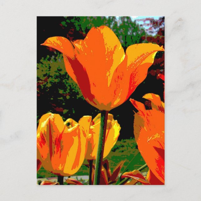 Postal tulipán naranja (Anverso)